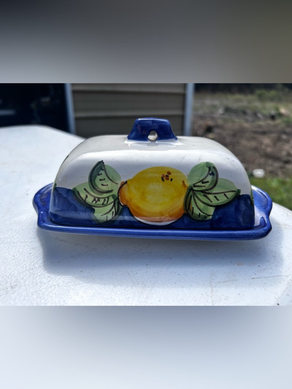 Hand-Painted Ceramic Butter Dish with Lemon Motif